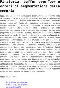 Pirateria: buffer overflow e errori di segmentazione della memoria