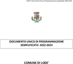 COMUNE DI LODE' DOCUMENTO UNICO DI PROGRAMMAZIONE SEMPLIFICATO 2022-2024