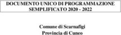 DOCUMENTO UNICO DI PROGRAMMAZIONE SEMPLIFICATO 2020 2022 - Comune di Scarnafigi Provincia di Cuneo