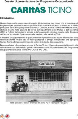 Dossier di presentazione del Programma Occupazionale di