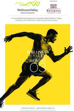 REPORT 03 WELLNESS VALLEY