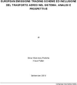 EUROPEAN EMISSIONS TRADING SCHEME ED INCLUSIONE DEL TRASPORTO AEREO NEL SISTEMA: ANALISI E PROSPETTIVE - di Omar Makimov Pallotta Klaus F&uuml;&szlig;er