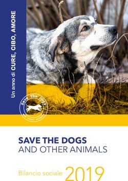 SAVE THE DOGS AND OTHER ANIMALS - Bilancio sociale
