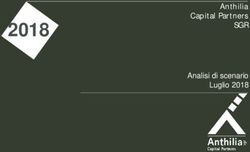 2018 Ant hilia Capit al Part ners - SGR Analisi di scenario Luglio 2018 - Financial Consulting