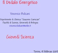 Il Dedalo Energetico - Gioved&igrave; Scienza Vincenzo Balzani - Torino, 19 febbraio 2009 - Societ&agrave; Chimica Italiana