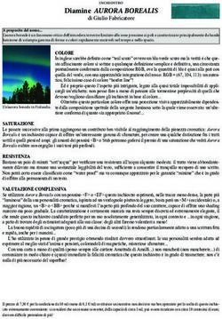 Diamine AURORA BOREALIS - di Giulio Fabricatore - IL PENNOFILO