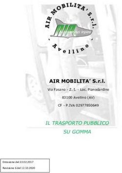 IL TRASPORTO PUBBLICO SU GOMMA - AIR MOBILITA' S.r.l.