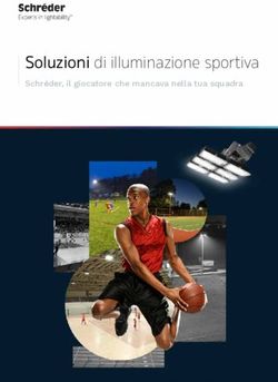 Soluzioni di illuminazione sportiva - Schréder, il giocatore che mancava nella tua squadra