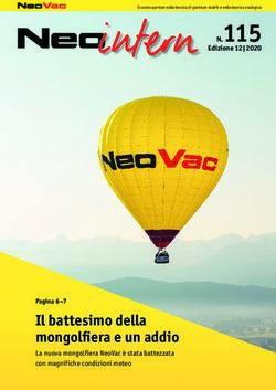 N.115 - Il battesimo della mongolfiera e un addio - NeoVac