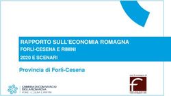 RAPPORTO SULL'ECONOMIA ROMAGNA - FORLÌ-CESENA E RIMINI 2020 E SCENARI Provincia di Forlì-Cesena - forlì-cesena e rimini 2020 e ...