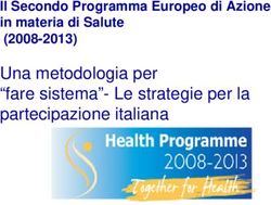 Una metodologia per "fare sistema"- Le strategie per la partecipazione italiana - Il Secondo Programma Europeo di Azione in materia di Salute ...
