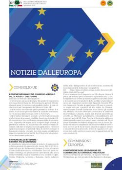 NOTIZIE DALL'EUROPA CONSIGLIO UE - ORIGIN ITALIA