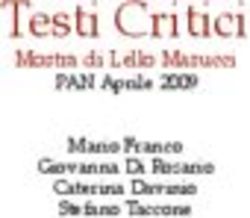 Testi Critici Mostra di Lello Masucci