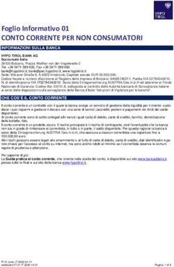Foglio Informativo 01 - CONTO CORRENTE PER NON CONSUMATORI - Hypo Tirol Bank AG