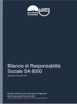 Bilancio Di Responsabilità Sociale SA 8000 - Riesame Della Direzione ...