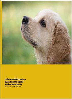 LEISHMANIOSI CANINA D.SSA SABRINA SOTTILE MEDICO VETERINARIO - ISCRIZIONE ALBO MI 2454 - PROSOL SPA