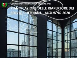 PIANIFICAZIONE DELLE RIAPERTURE DEI SERVIZI CULTURALI - AUTUNNO 2020 - Commissione Consiliare Cultura 28 agosto 2020 - Comune di Milano