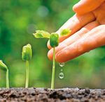 NOI CI SIAMO ASCOLTARE, PROGETTARE, INNOVARE, SOSTENERE, PER ESSERCI DOMANI - CATALOGO PRODOT - Agri in Web