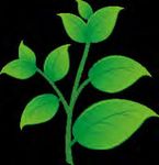 NOI CI SIAMO ASCOLTARE, PROGETTARE, INNOVARE, SOSTENERE, PER ESSERCI DOMANI - CATALOGO PRODOT - Agri in Web