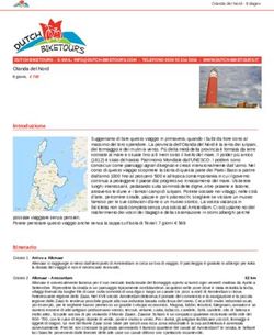 Introduzione - Viaggi in bici in Olanda | Dutch Biketours