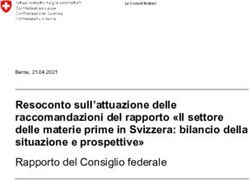 Resoconto sull'attuazione delle raccomandazioni del rapporto "Il settore delle materie prime in Svizzera: bilancio della situazione e prospettive" ...