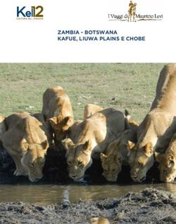 ZAMBIA - BOTSWANA KAFUE, LIUWA PLAINS E CHOBE - "Image:Lo gotipo" - Kel 12