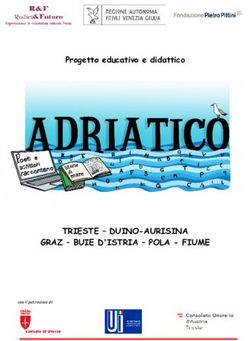 TRIESTE - DUINO-AURISINA GRAZ - BUIE D'ISTRIA - POLA - FIUME - Progetto educativo e didattico - con il patrocinio di