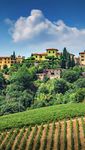 Produzione e Distribuzione dal 1997 - Compagnia Del Vino