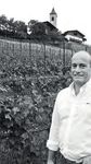 Produzione e Distribuzione dal 1997 - Compagnia Del Vino