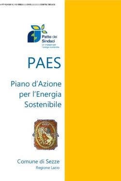 PAES Piano d'Azione per l'Energia Sostenibile - Comune di Sezze