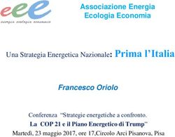Una Strategia Energetica Nazionale: Prima l'Italia