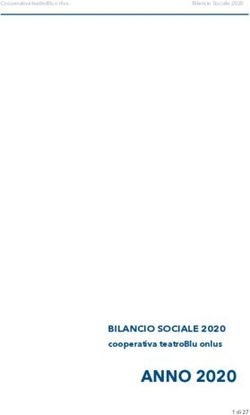 ANNO 2020 BILANCIO SOCIALE 2020 - cooperativa teatroBlu onlus - Compagnia TeatroBlu