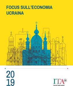 20 FOCUS SULL'ECONOMIA UCRAINA
