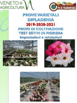 PROVE VARIETALI DIPLADENIA - 2019-2020-2021 PROVE DI COLTIVAZIONE TEST ESTIVI IN FIORIERA Impostazioni e valutazioni - PROVE DI COLTIVAZIONE TEST ...