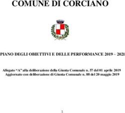 COMUNE DI CORCIANO PIANO DEGLI OBIETTIVI E DELLE PERFORMANCE 2019 2021