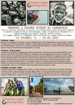 SENEGAL & GUINEA BISSAU AL CARNEVALE - 14 GIORNI: 3 16.02.2021 - photographic travel ...