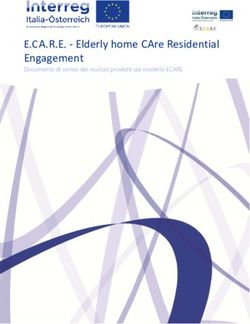 E.C A.R.E - Elderly home CAre Residential Engagement - Documento di sintesi dei risultati prodotti dal modello ECARE