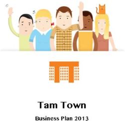 Tam Town Business Plan 2013
