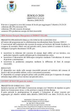 JESOLO 2020 OBIETTIVO Direttiva 2009/29/CE - Comune di Jesolo