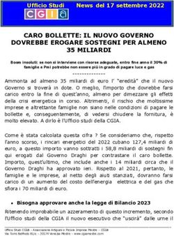 CARO BOLLETTE: IL NUOVO GOVERNO DOVREBBE EROGARE SOSTEGNI PER ALMENO 35 MILIARDI