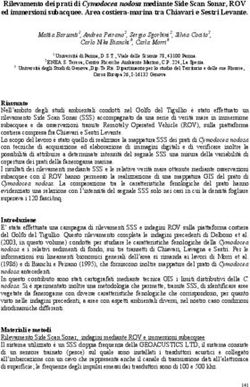 Rilevamento dei prati di Cymodocea nodosa mediante Side Scan Sonar, ROV ed immersioni subacquee. Area costiera-marina tra Chiavari e Sestri Levante.