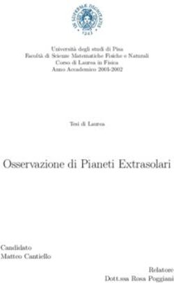 Osservazione di Pianeti Extrasolari - Candidato Matteo Cantiello Relatore Dott.ssa Rosa Poggiani