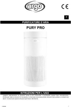 PURY PRO PURIFICATORE D'ARIA - Argoclima