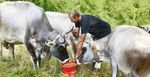 PROTEZIONE ANIMALE Ordine dei Medici Veterinari Alto Adige - fnovi