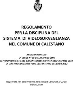 REGOLAMENTO PER LA DISCIPLINA DEL SISTEMA DI VIDEOSORVEGLIANZA NEL COMUNE DI CALESTANO