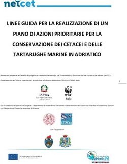 LINEE GUIDA PER LA REALIZZAZIONE DI UN PIANO DI AZIONI PRIORITARIE PER LA CONSERVAZIONE DEI CETACEI E DELLE TARTARUGHE MARINE IN ADRIATICO - NETCET