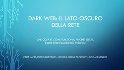 DARK WEB: IL LATO OSCURO DELLA RETE - CHE COSA E', COME FUNZIONA, PERCHE' ESISTE, COME PROTEGGERSI DAI PERICOLI - Istituto Comprensivo "San ...