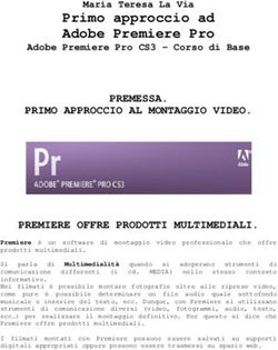 Primo approccio ad Adobe Premiere Pro