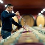 S&uuml;dtirol Wein Vini Alto Adige Alto Adige Wines