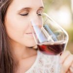 S&uuml;dtirol Wein Vini Alto Adige Alto Adige Wines